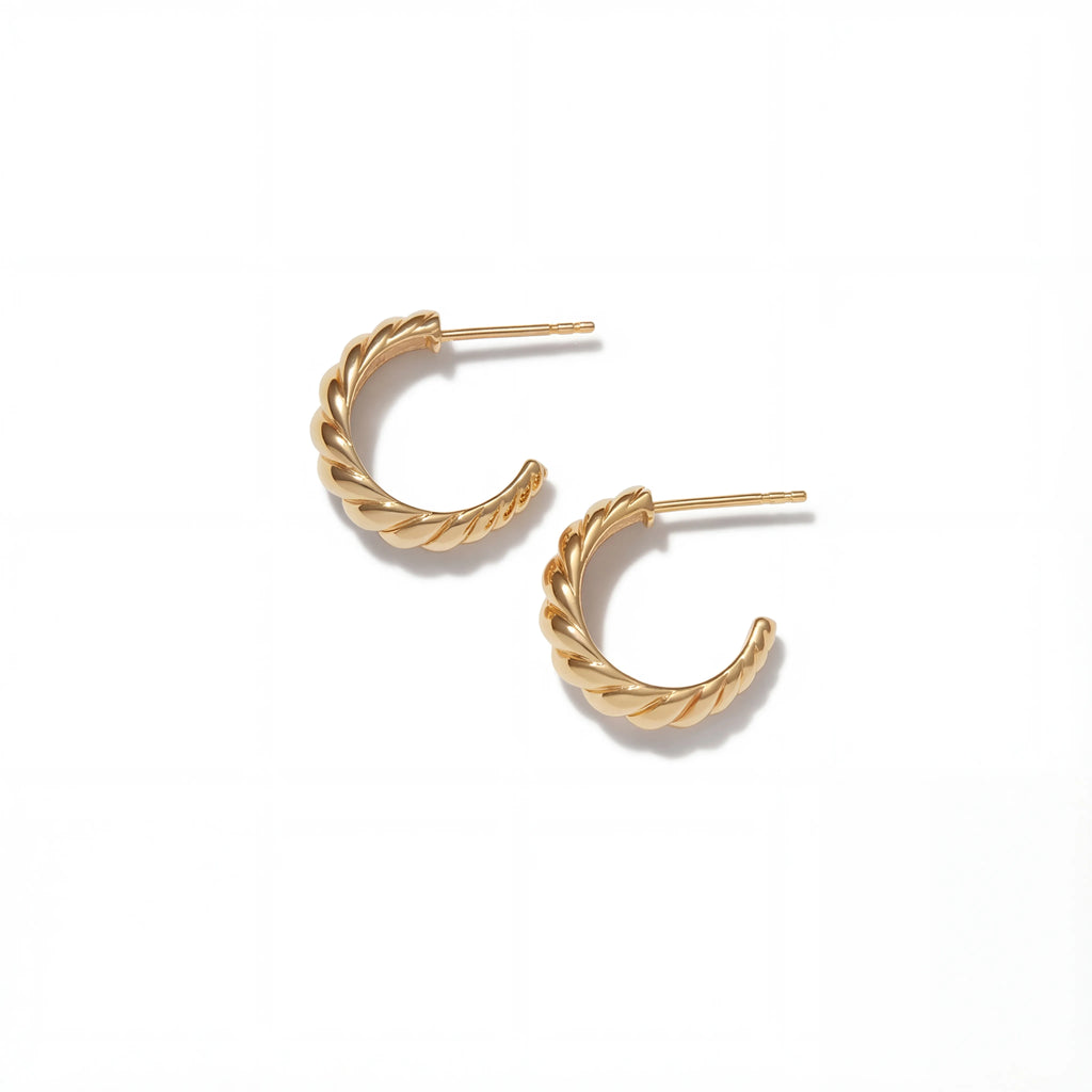 Twisted Hoop Earrings